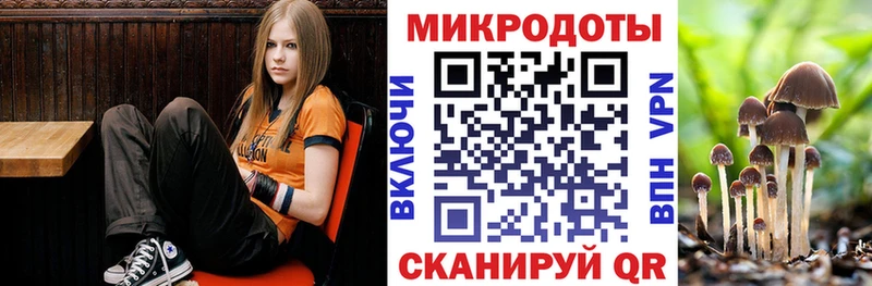 Псилоцибиновые грибы Cubensis  omg ссылка  Махачкала  закладка 